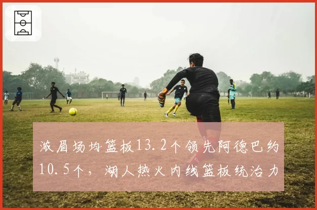 浓眉场均篮板13.2个领先阿德巴约10.5个，湖人热火内线篮板统治力对抗