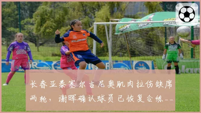 长春亚泰塞尔吉尼奥肌肉拉伤缺席两轮，谢晖确认球员已恢复合练__br_