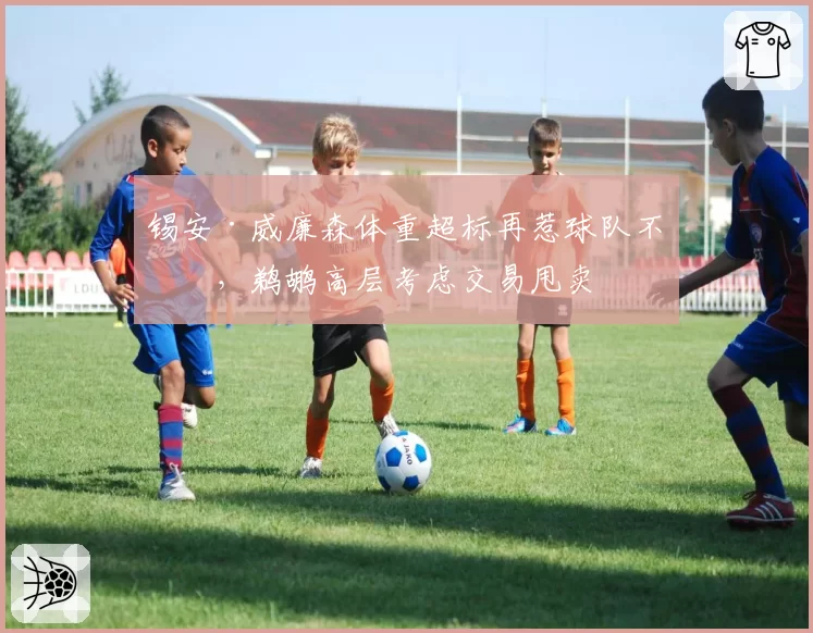 锡安·威廉森体重超标再惹球队不满，鹈鹕高层考虑交易甩卖